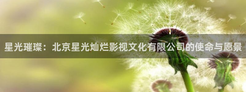 久久视频在线观看免费：星光璀璨：北京星光灿烂影视文化有限公司的使命与愿景