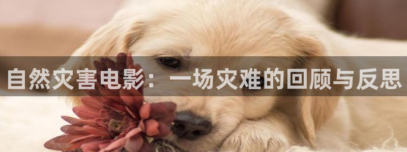 久久视频麻豆：自然灾害电影：一场灾难的回顾与反思