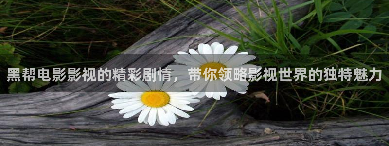久久久久精品一区二区三区毛片