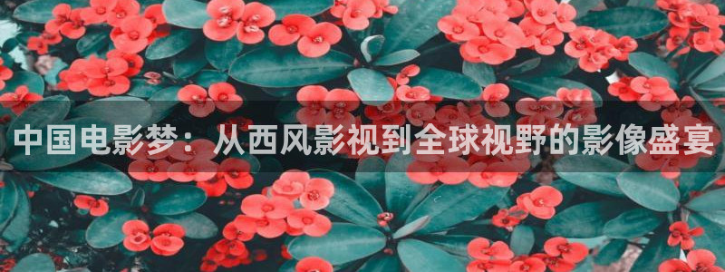久久视频呀