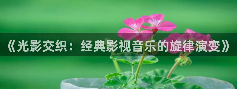 久久视频免费观看精品