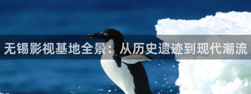 www·久久久