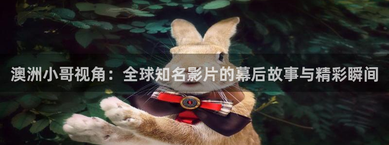 久久视频免费观看久久