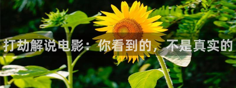 日韩精品久久久久久久电影蜜臀
