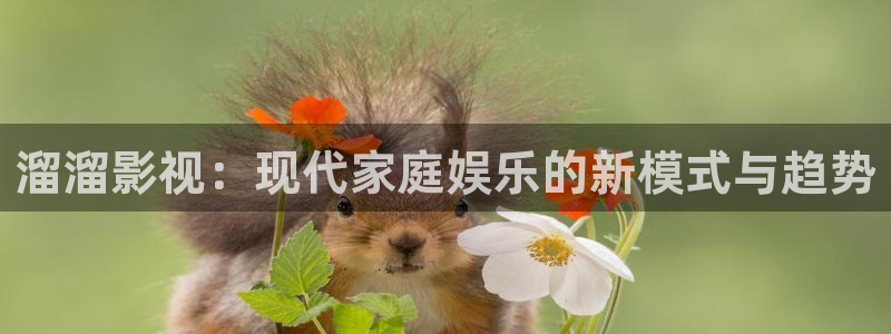 久久视频亚洲