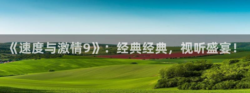 久久久午夜精品电影网