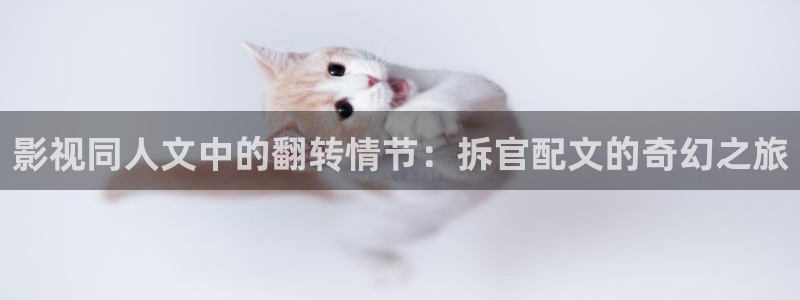 久久久电影网址