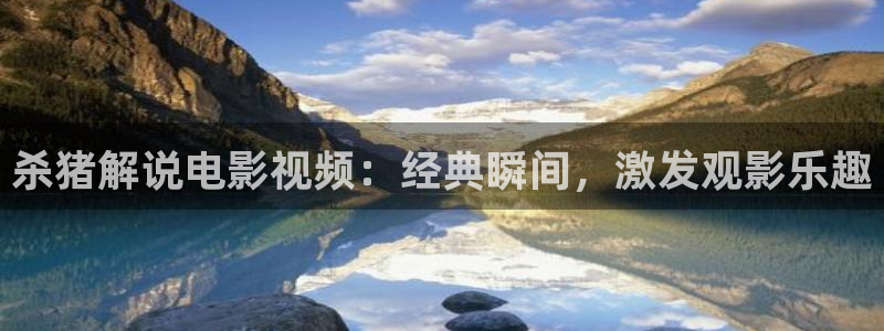 精品视频久久久久久久久