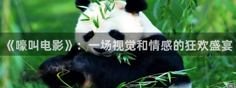 久久视频看久久