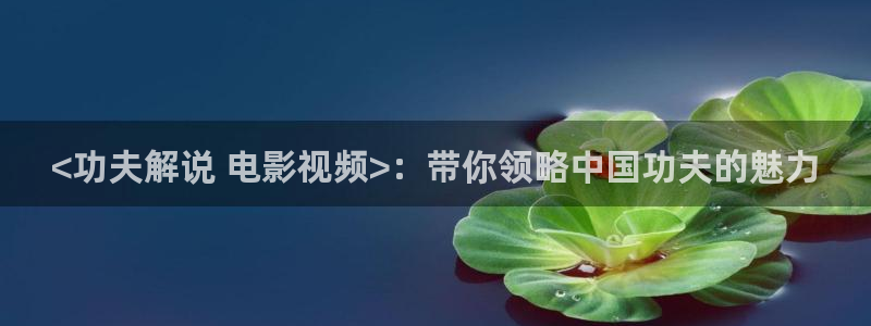 久久视频九九热视频