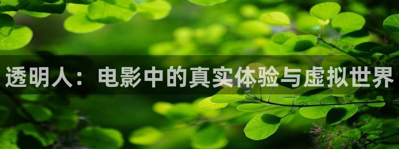 久久视频看看