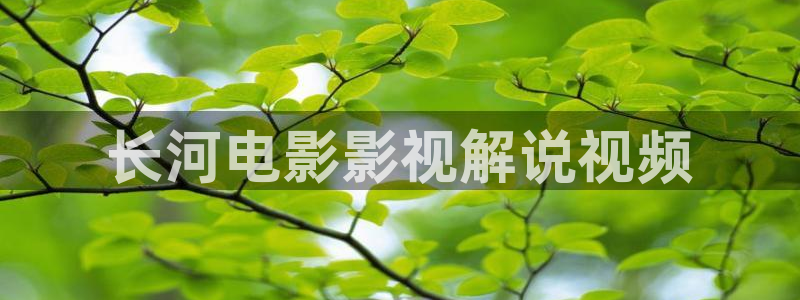 久久久久久久久精彩视频