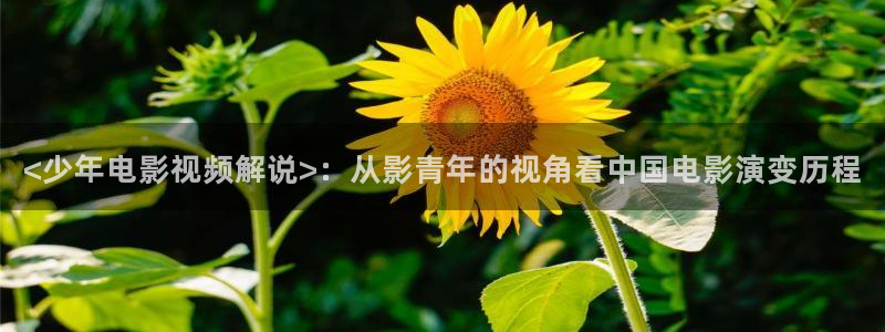 久久视频看看