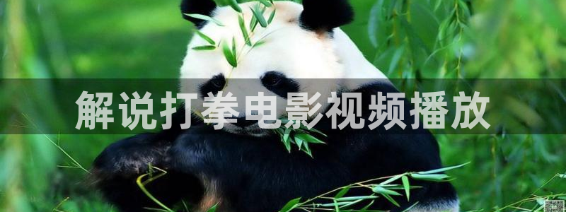 午夜影院久久久