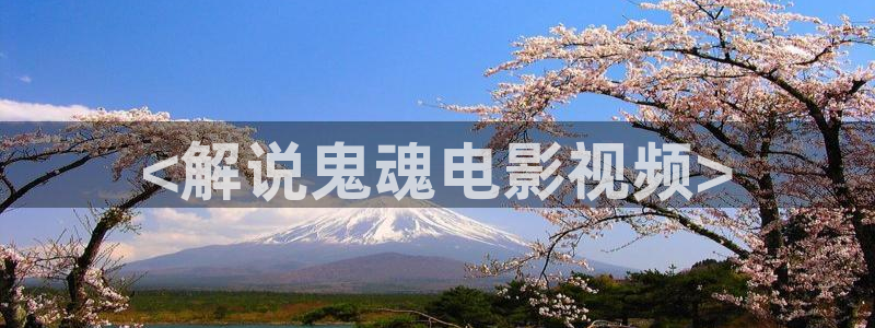 久久久网站播放