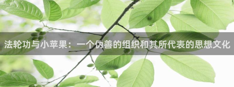 久久久久小视频