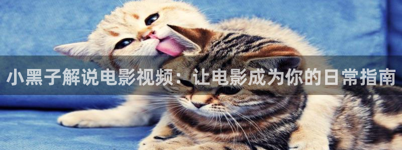 久久久一视频