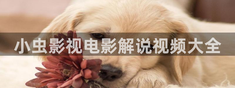 久久久久精选视频