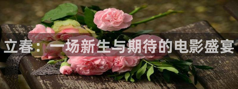 窝窝国产影院久久久久