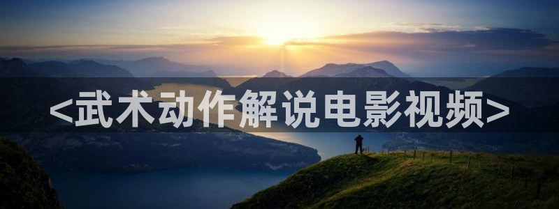 国内精品久久久久影院色