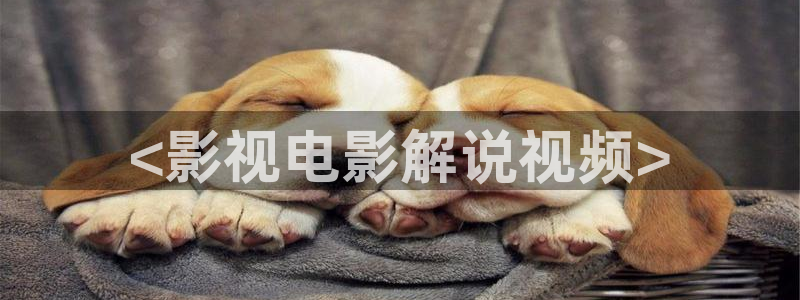精彩久久视频