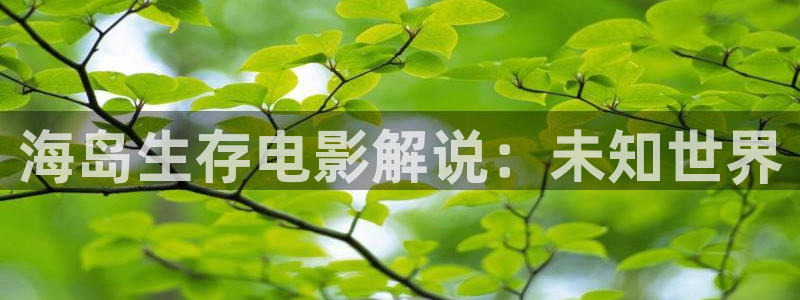 国产精品久久久天天影视