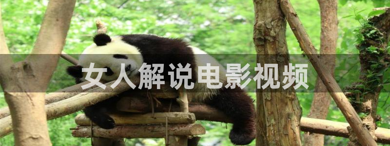 久久视频聊天