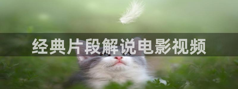 久久久影视