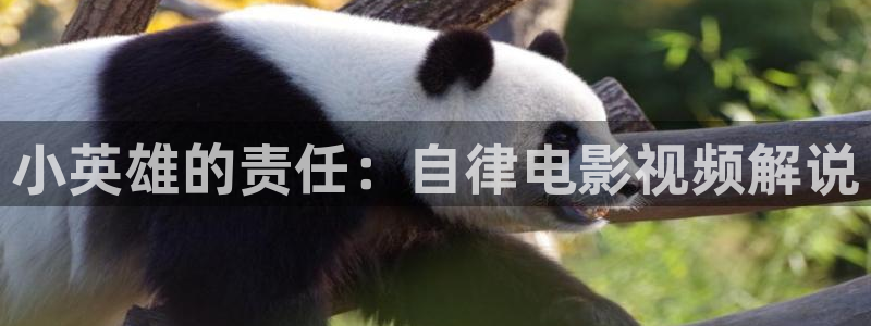 97伊人久久视频