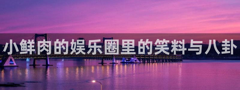 97久久视频观看