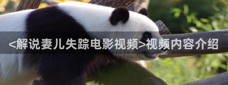 国产午夜精品久久久久久免费视