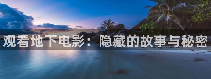 久久久久久影院久久影院