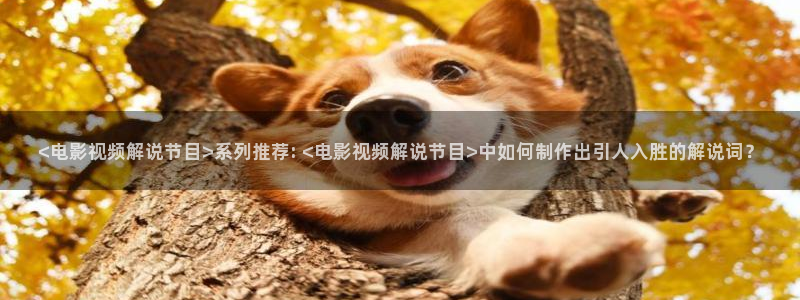久久久桃桃色精品影院