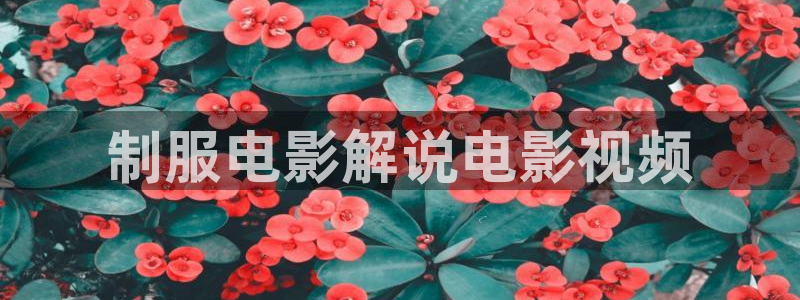 国产精品久久久久久成人影院
