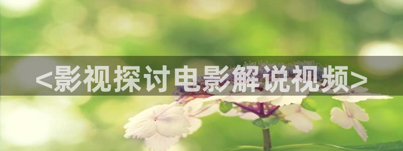 久久久久久久久亚洲精品免费电影