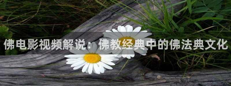 久久视频国产在线观看