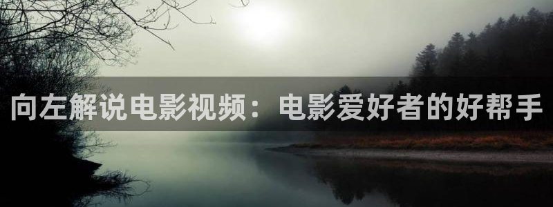 久久视频下载