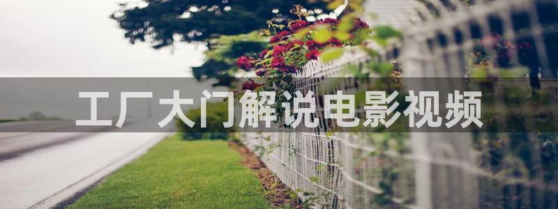 久久视频聊天