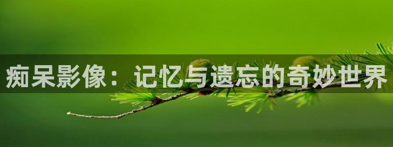 99久久视频免费