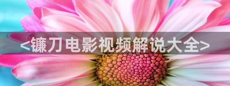 日韩久久视频在线