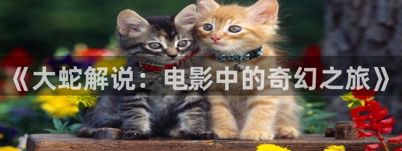久久视频国产免费：《大蛇解说：电影中的奇幻之旅》