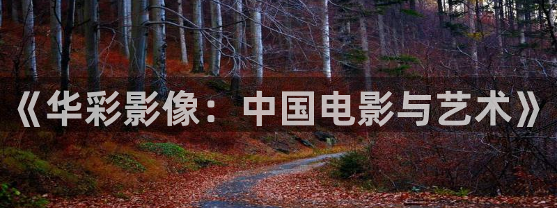 久久视频韩国：《华彩影像：中国电影与艺术》