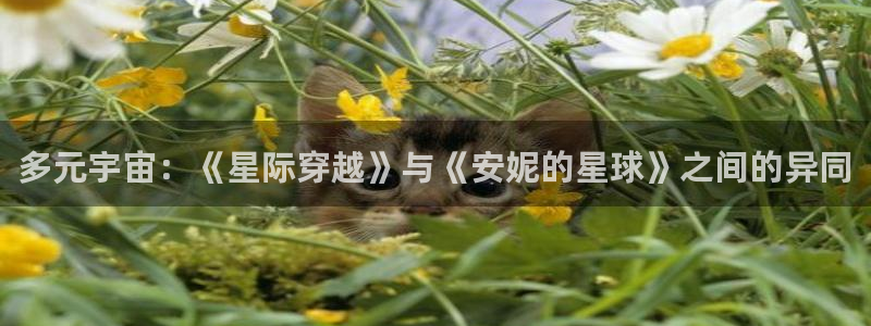 国产精品久久久久久影院
