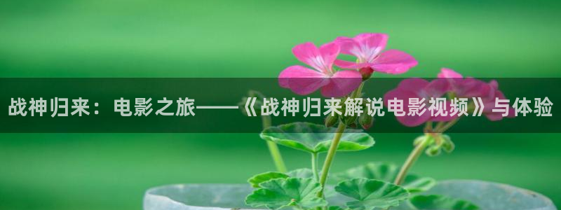 91人妻精品久久久久久久久电影：战神归来：电影之旅——《战神归来解说电影视频》与体验