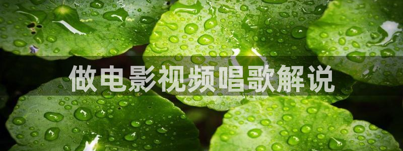 碰碰久久视频