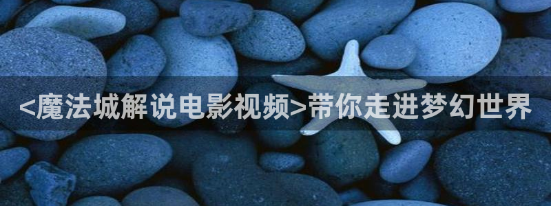 97久久视频观看