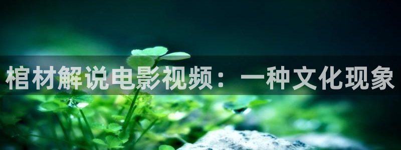 2019免费久久视频：棺材解说电影视频：一种文化现象