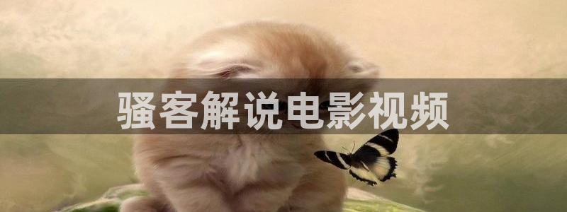 www久久久视频：骚客解说电影视频