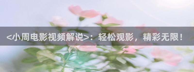 亚洲午夜精品久久久久久影视