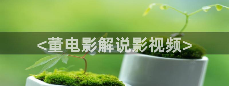 四虎影院久久久：<董电影解说影视频>